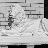 Скульптура Льва мрамор белый 1300*600*800 ручная работа